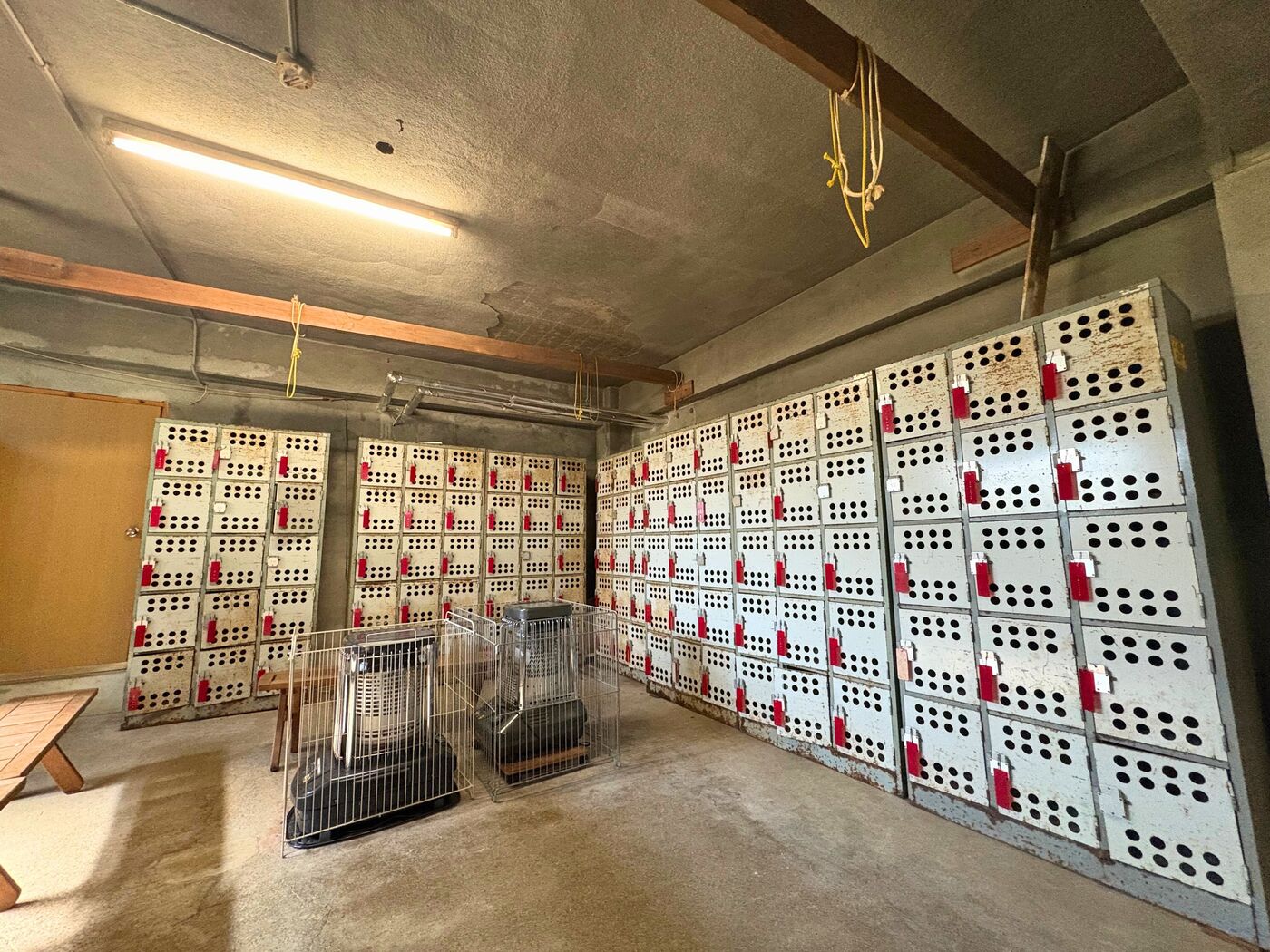 <br />
<b>Warning</b>:  Undefined variable $facility_name in <b>/home/xs336081/eveplaza.com/public_html/wp-content/themes/eveplaza/archive-facility.php</b> on line <b>253</b><br />
